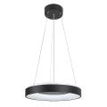 RABALUX 72001 CEILO PENDANTS