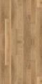 Pale Limed Oak