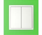 Single frame+double rockers, ANIMATO Green/Ice