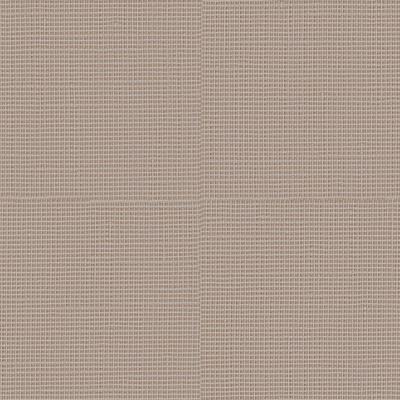 PRIMULA 06 caffe latte